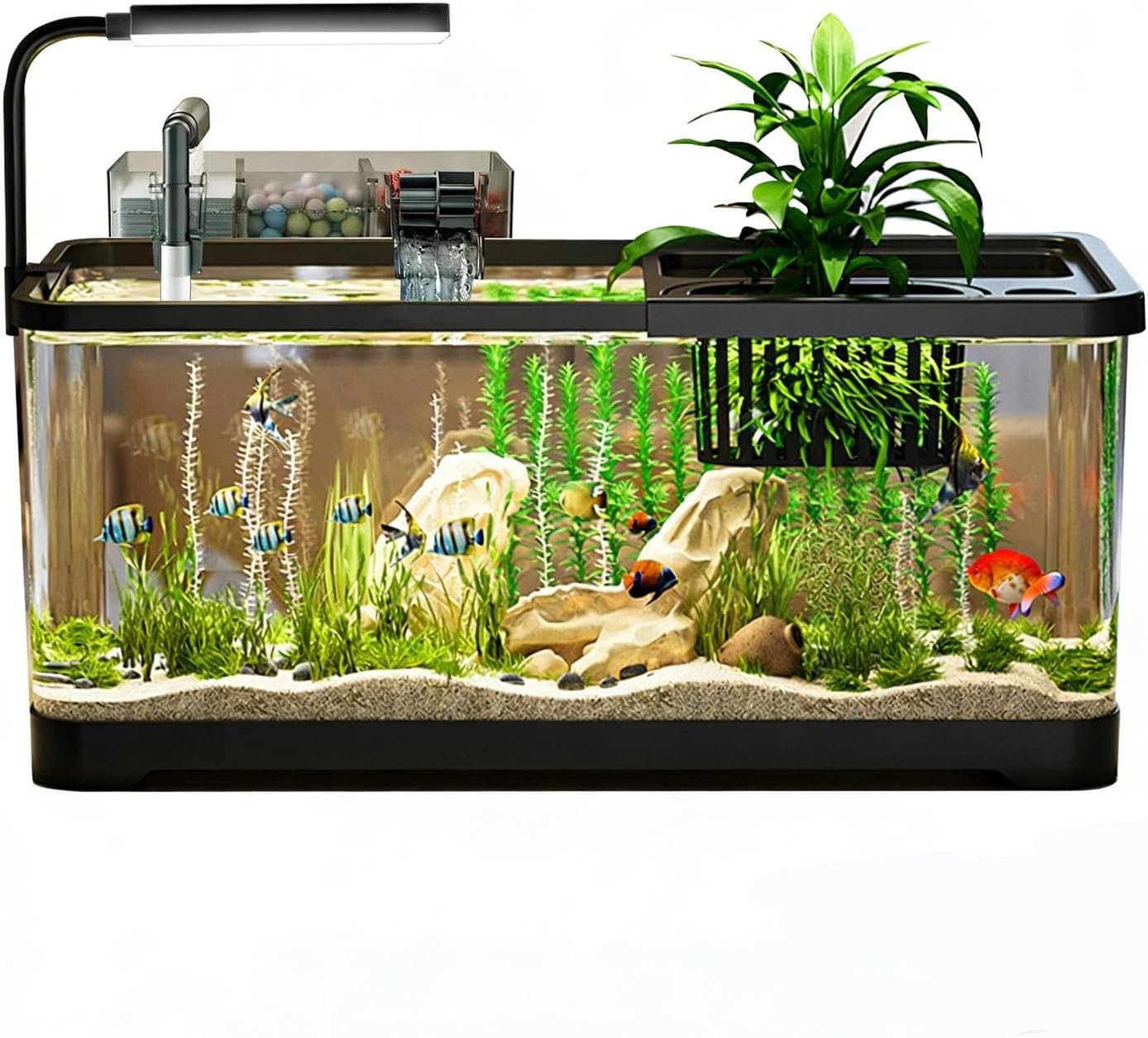 5 Gallon Fish Tank, Aquarium Plastic Starter Kit with Filter, led Light, sponge, and filter ball, Fish Tank for Betta, Plastic Nano Aquarium with Lid(18.5*7.87*8.07 inch / Black) (5 Gallon Fish Tank)