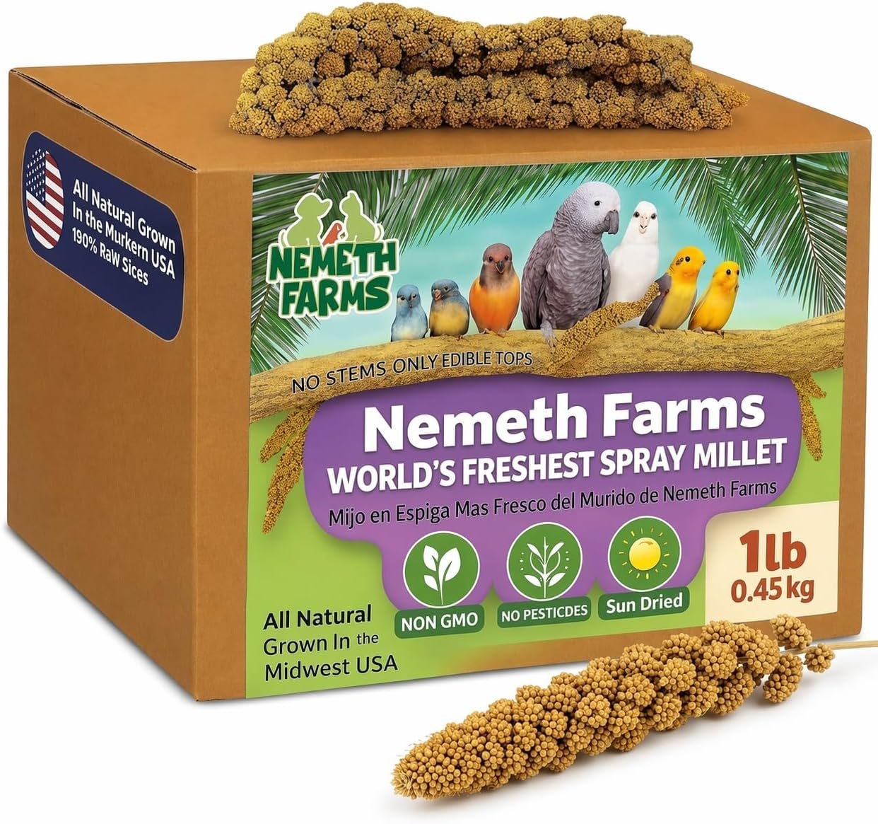 Nemeth Farms Spray Millet – Edible Tops Only, Non-GMO and Sun-Dried – 1 lb for Parakeets, Canaries and Finches