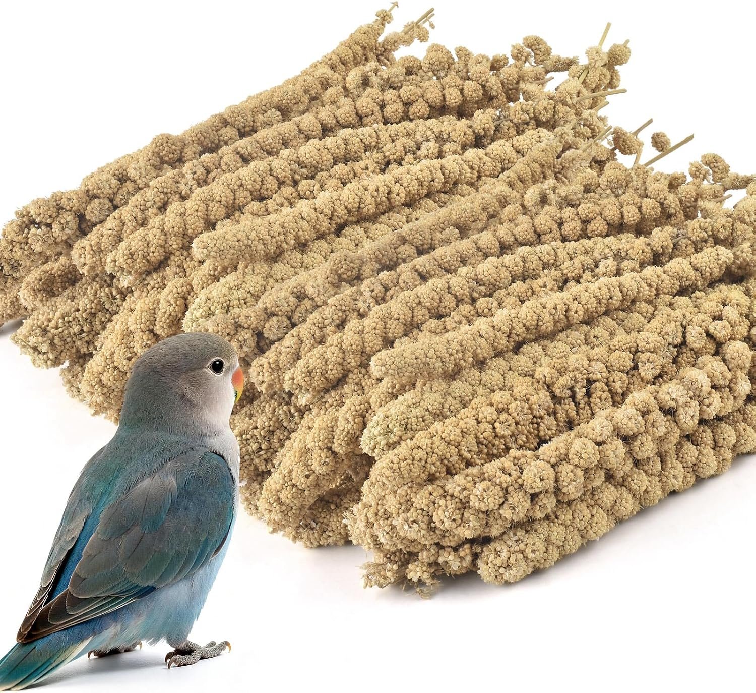 ERKOON 2.5LB Spray Millet Treat, All Natural Sun-Dried Healthy Treat Parrot Food Bird Snack for Parakeets, Lovebirds, Cockatiels, Finches, Budgies, Canaries Hamster, Bird Food Bulk