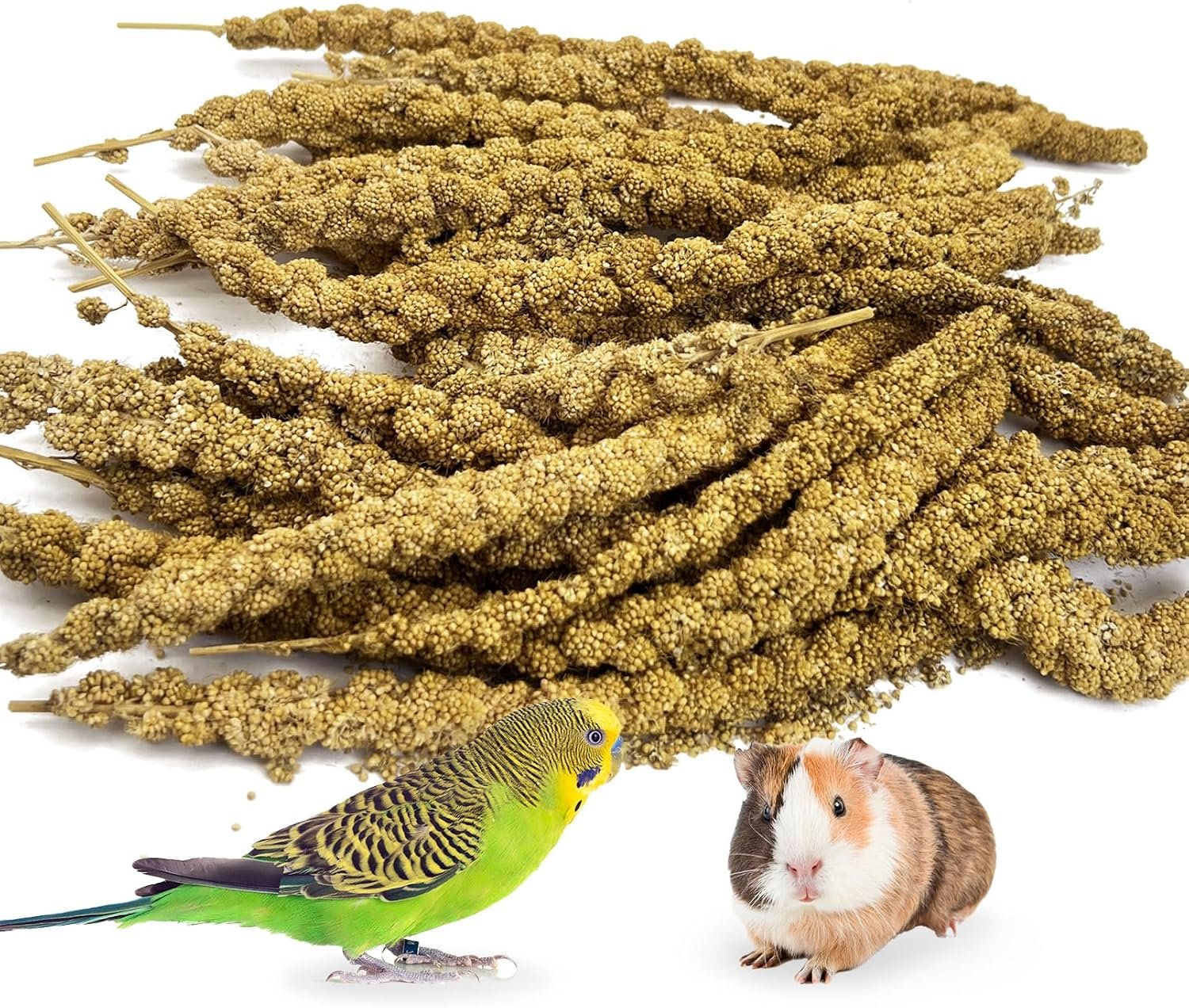 kathson Spray Millet Treat Sun-Dried Bird Millet Parakeet Treats for Budgies Finches Cockatiels Parrots Lovebird Hamster Other Pet Birds 0.44LB