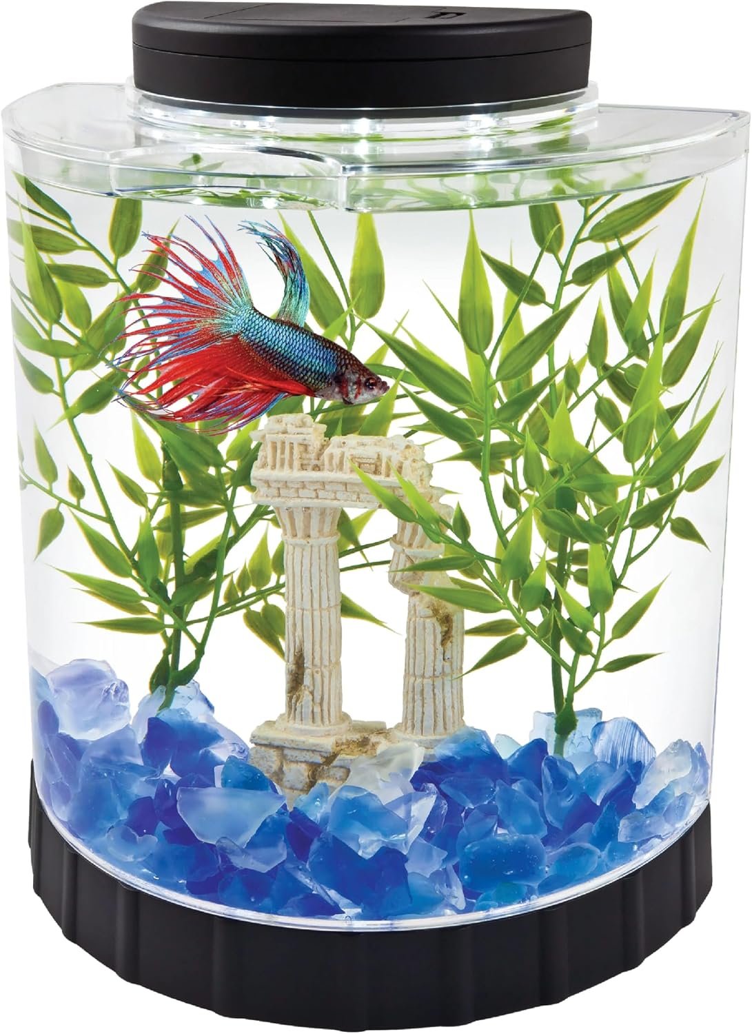 Tetra LED Half Moon 1.1 Gallon Fish Tank Kit for Betta Fish | Aquarium Kit Includes Moveable LED Light and 1.1 Gallon Acrylic Tank With Feeding Hole, Ideal for Beginners