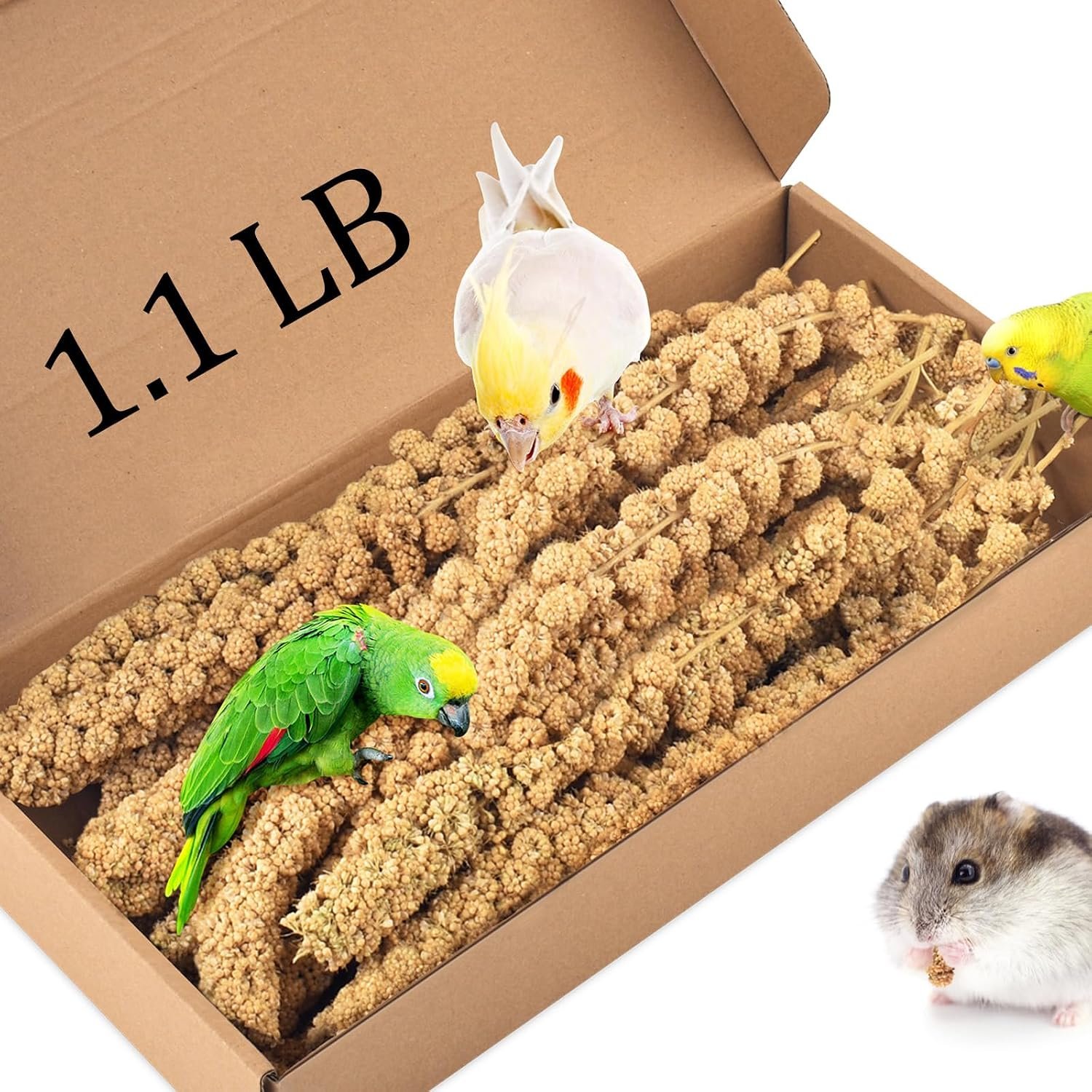 KATUMO 1.1LB Spray Millet Treat, Sun-Dried Bird Food for Parakeet Conure | Pure & Healthy Nutrition, Suitable for Pet Birds and Hamsters, Perfect Daily Snack and Training Reward