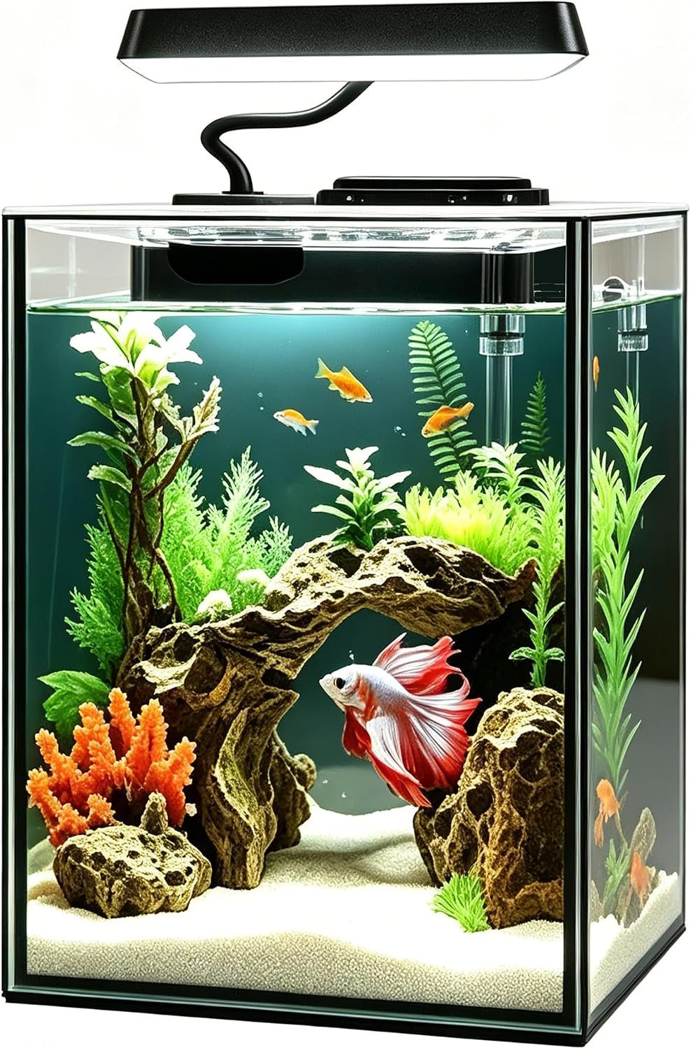 Glass Betta Aquarium Starter Kits 1.5 Gallon Small Fish Tank, Betta Fish Tank with LED Light, Power Filter, Black. 4mm Glass