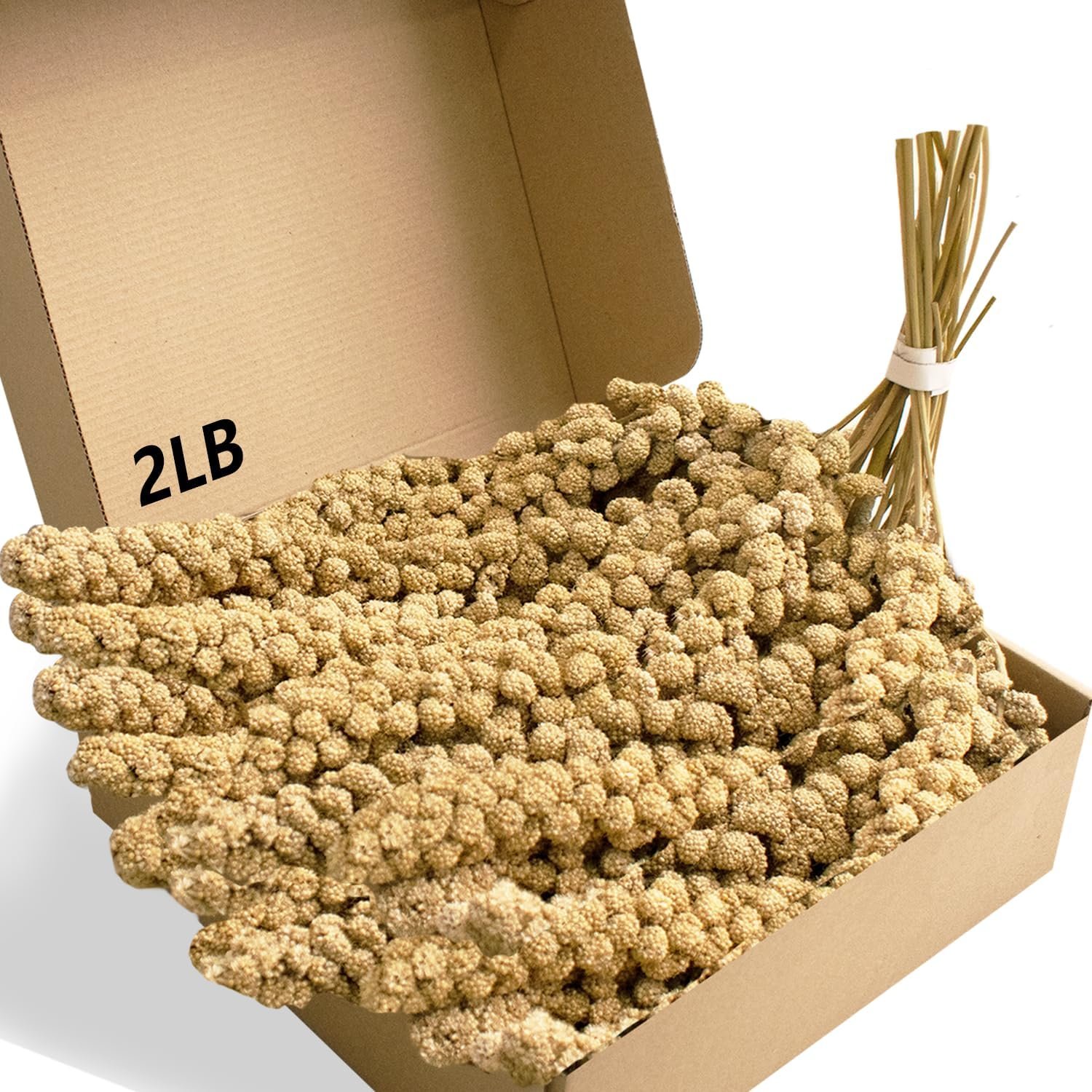 Spray Millet Treat for Birds Parakeets, Millet for Birds, Natural Bird Food | ﻿ 2 LB Healthy Bird Treat for Cockatiels, Budgies, Finches, Canaries & Parrots, Hamster