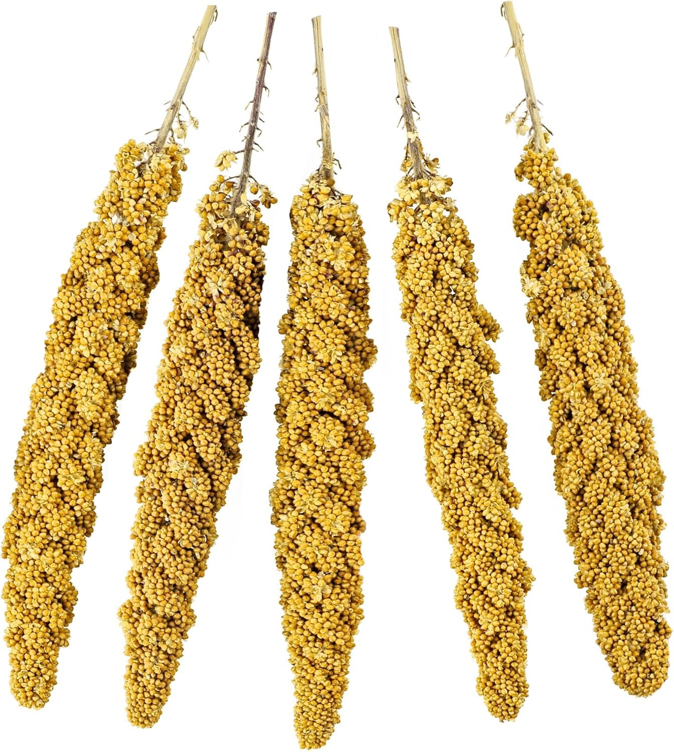 JOR Bird Spray Millet, Premium Treats for Parakeets, Finches, Canaries, Budgies & Small Pet Birds, Sun Dried and Vacuum-Sealed Freshness, Yellow and Brown Color, 8″- 12″, 3 oz. per Pack 