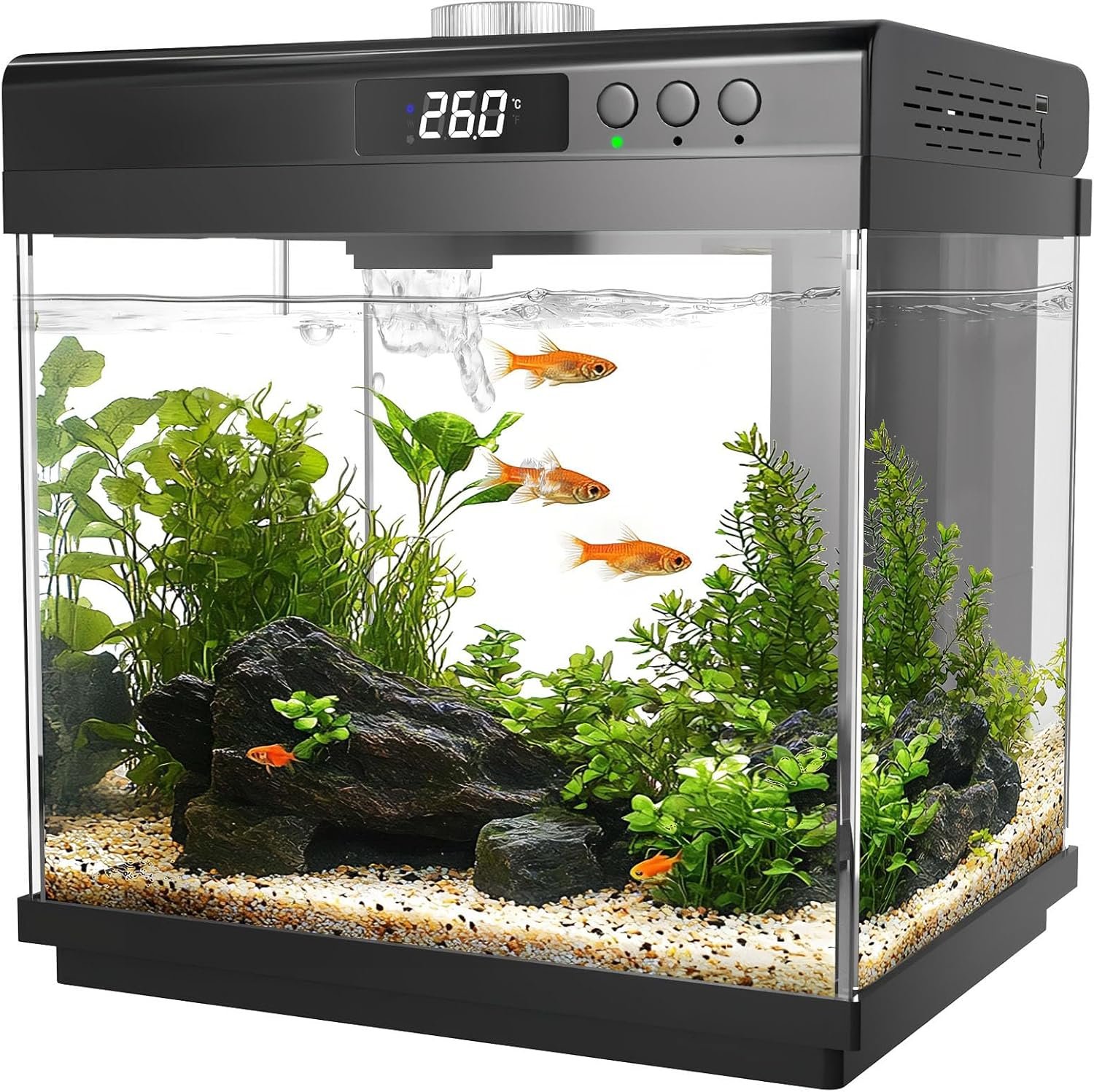 AQQA 3.7 Gallon Aquarium Starter Kit Small Glass Fish Tank, Black | Filter and Light, 10 Colors Adjustable, Desktop Self-Cleaning, Betta Fish Tank Kit, Office & Home Decor