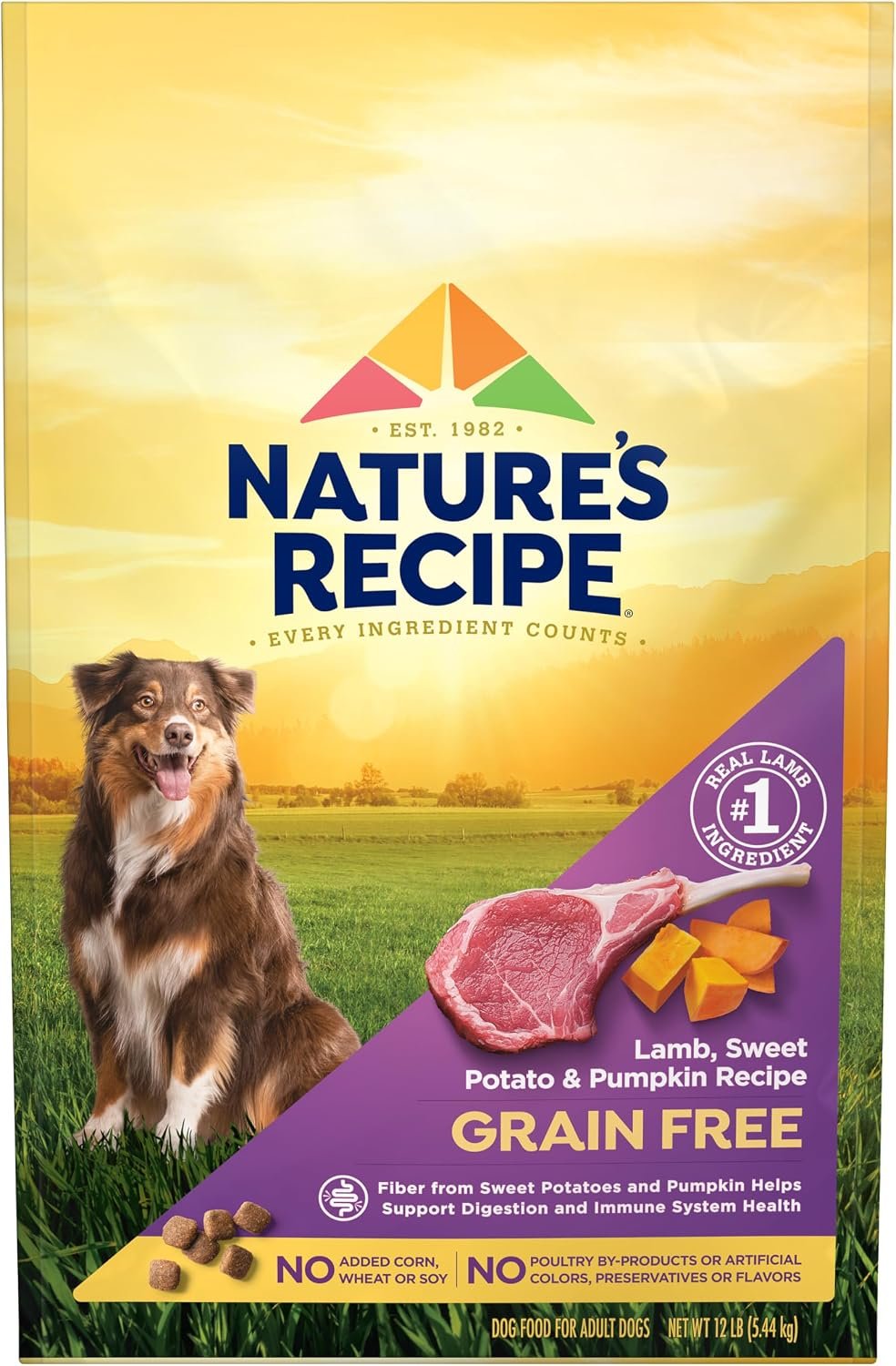 Nature’s Recipe Grain Free Dry Dog Food, Lamb, Sweet Potato & Pumpkin Recipe, 12 lb. Bag | Fiber From Sweet Potatoes & Pumpkin Helps Support Digestion and Immune System Health