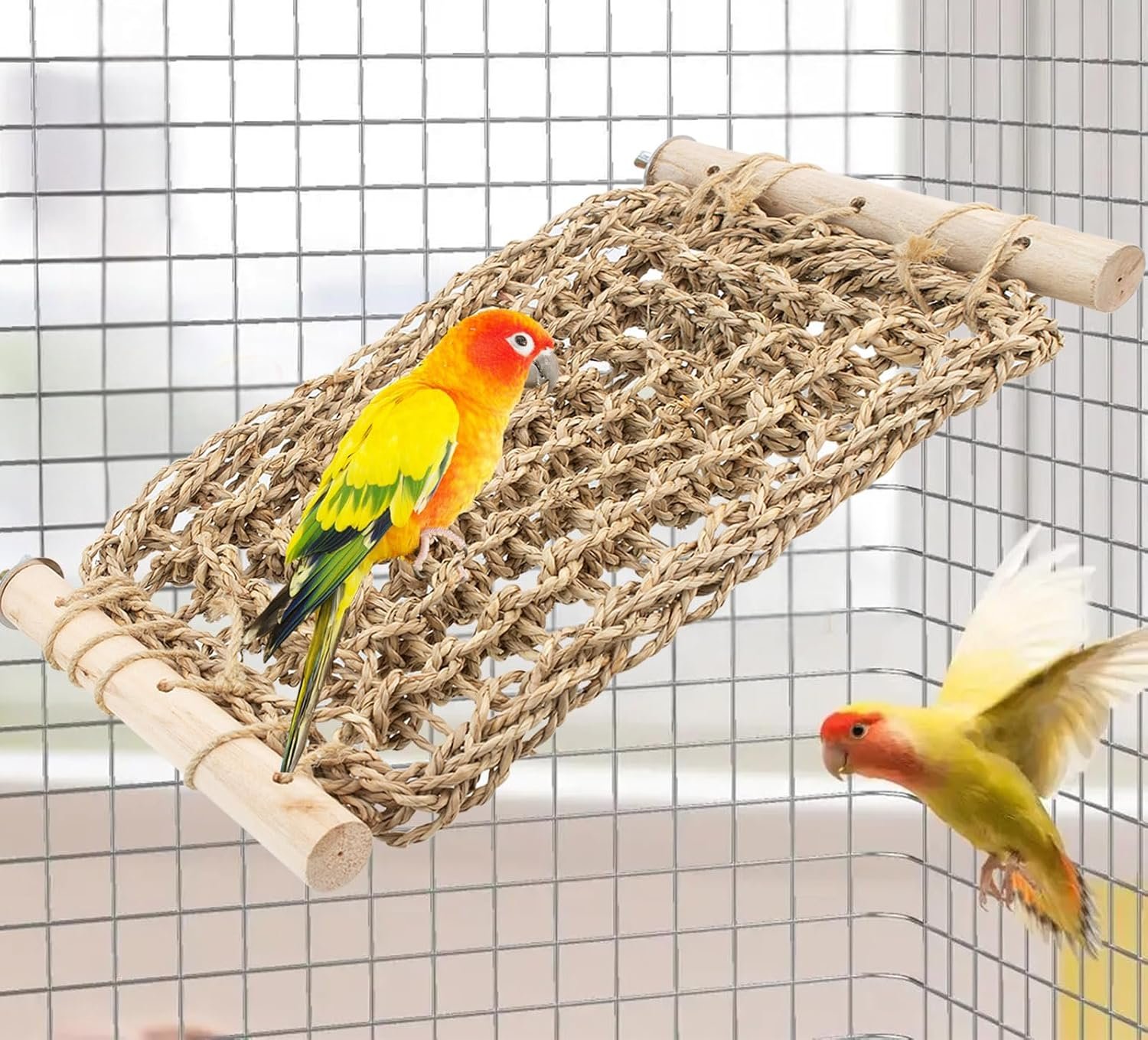 FlidRunest Conure Ladder Perch for Cage, Bird Seagrass Ladder Bridge Exercise Stands, Natural Hand-Woven Parrot Net Climbing Chewing Hammock, Cage Accessories
