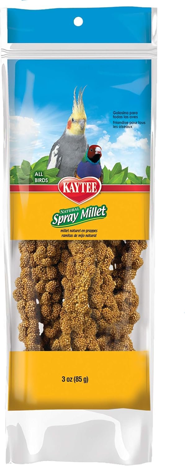 Kaytee Spray Millet Treat for Birds, 3 Ounce | Encourages birds to eat. Millet spray for birds on a stem. bird treats, all natural, no artificial colors or flavors