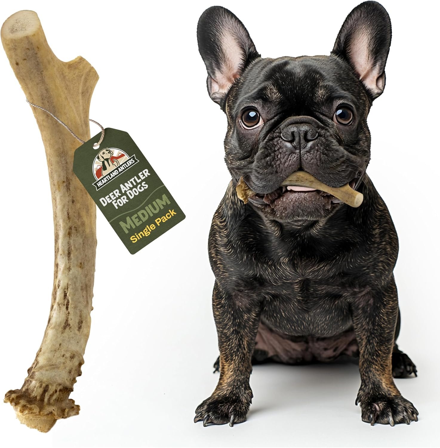 Heartland Antlers Deer Antler Dog Chew for Aggressive Chewers, Whole 5-6 Inch Medium, Long Lasting Single Ingredient Treat, Naturally Shed and Collected in USA