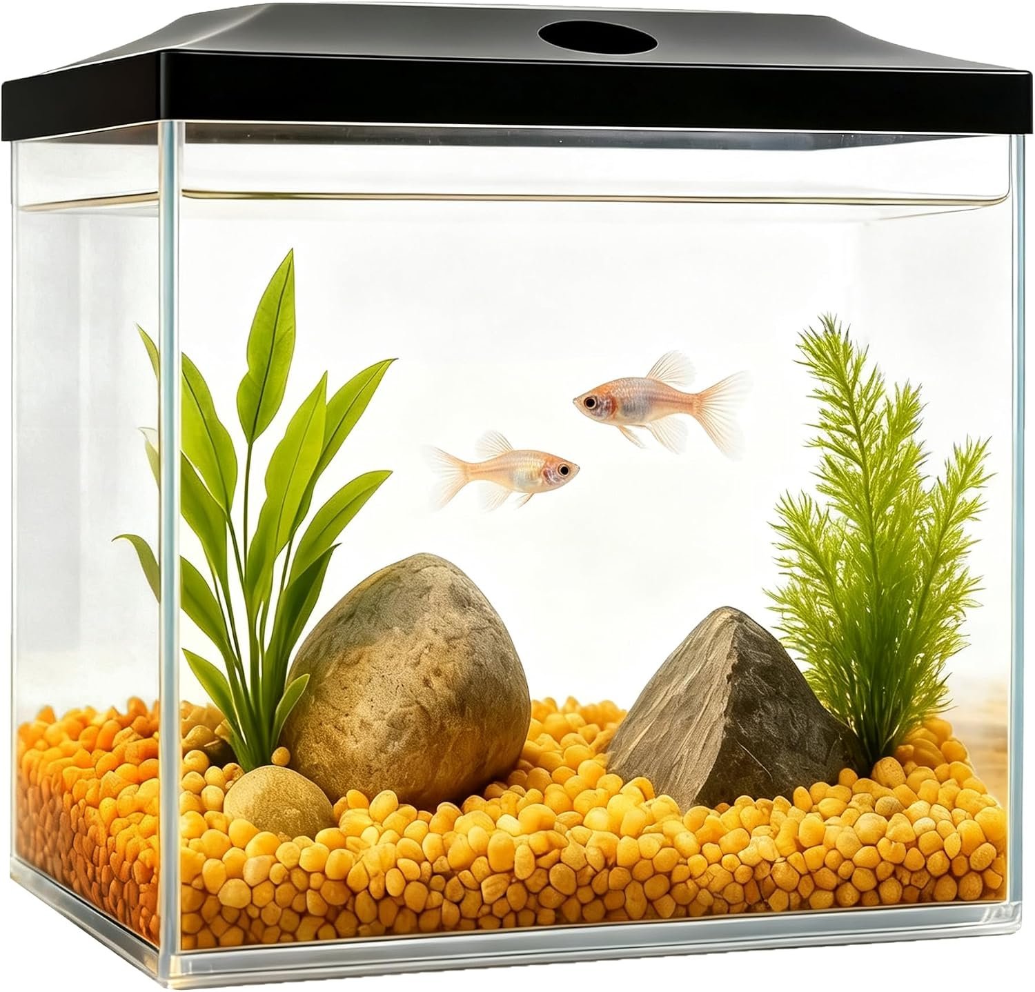 0.8-Gallon Cube Small Fish Tank, Shatterproof Plastic Fish Tank with LED Lighting, Temporary Fish Bowl for Fry, Isolation, Education & Decoration